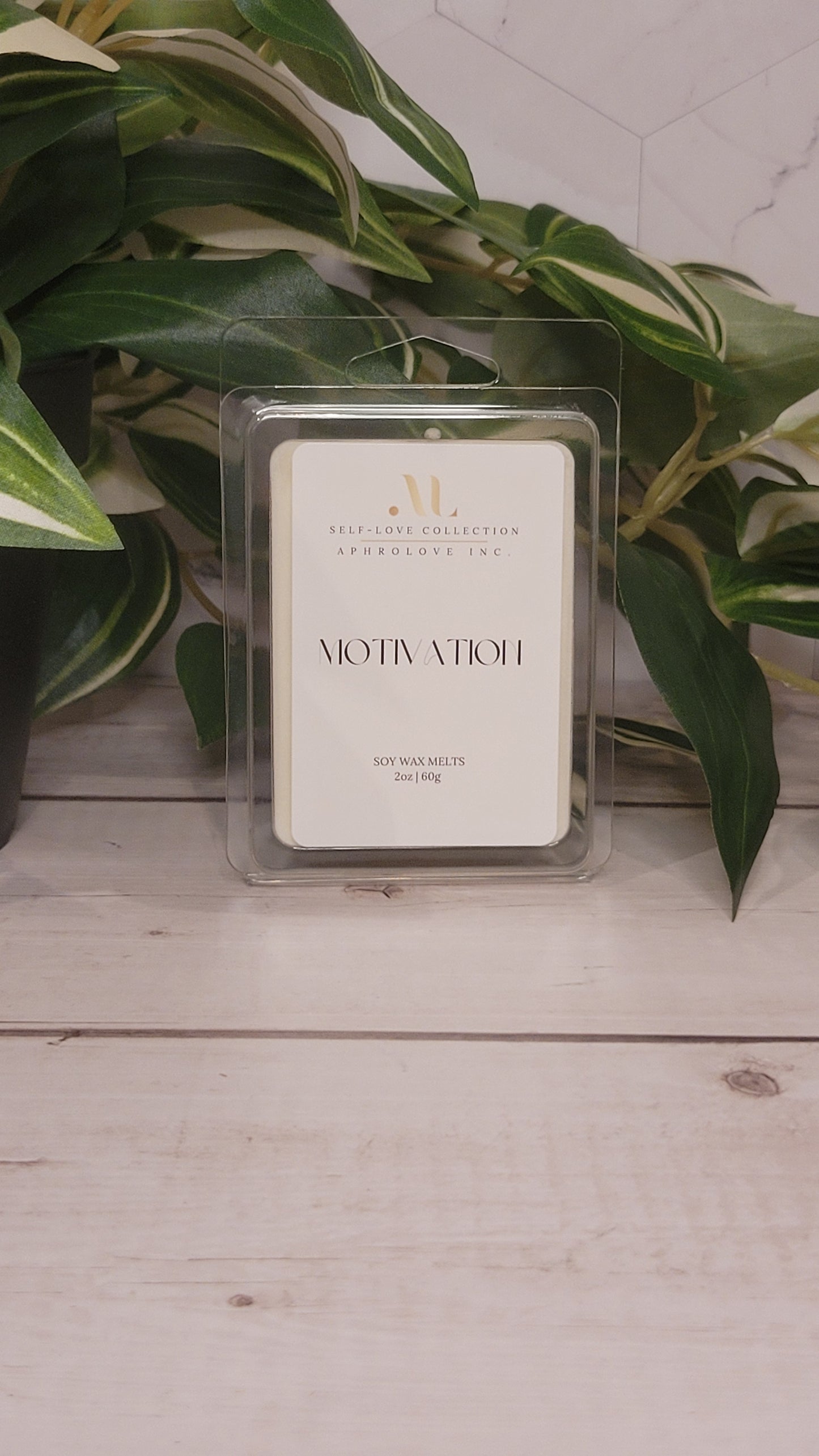 Motivation Melts š¤